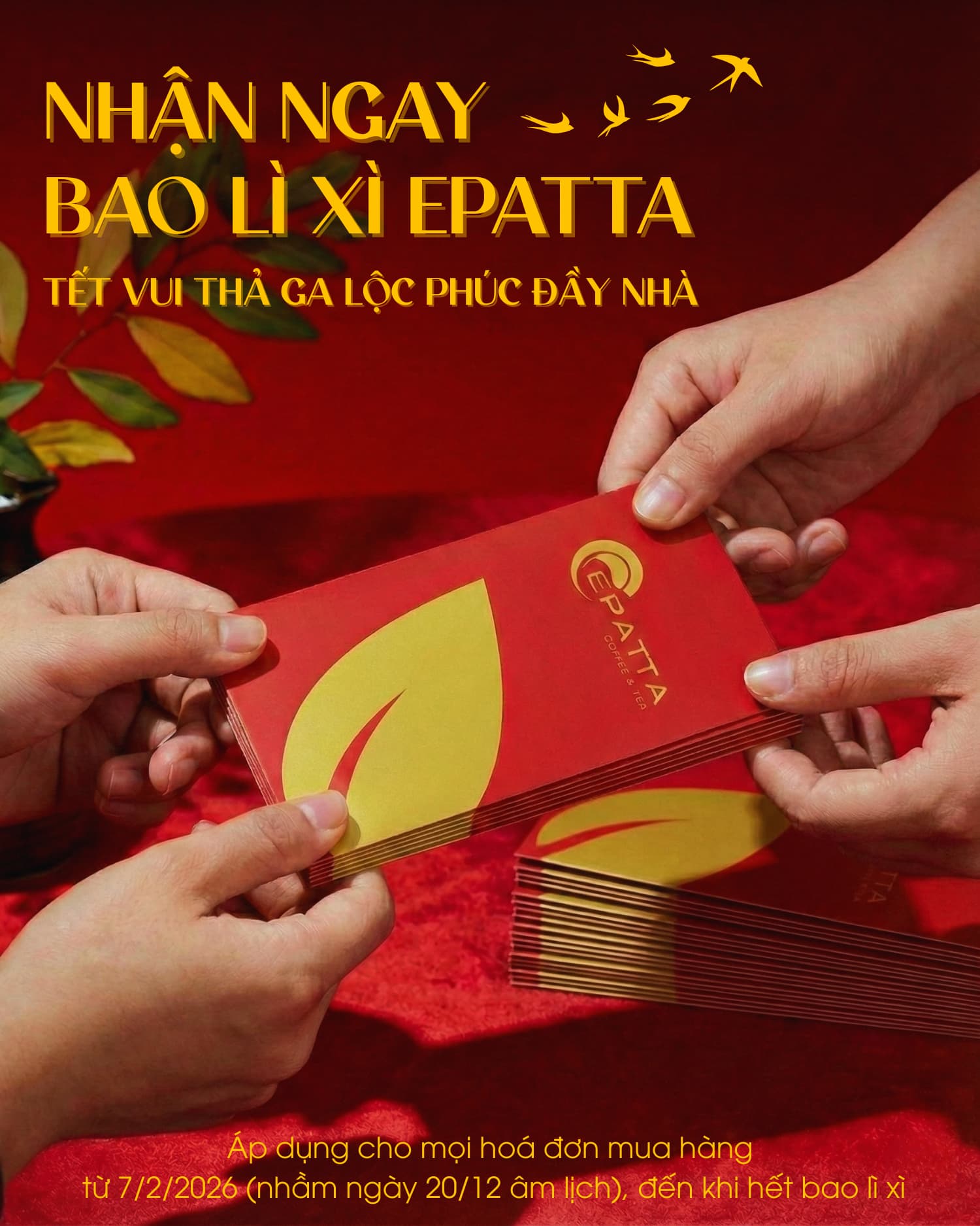 TẶNG COMBO 6 BAO LÌ XÌ EPATTA